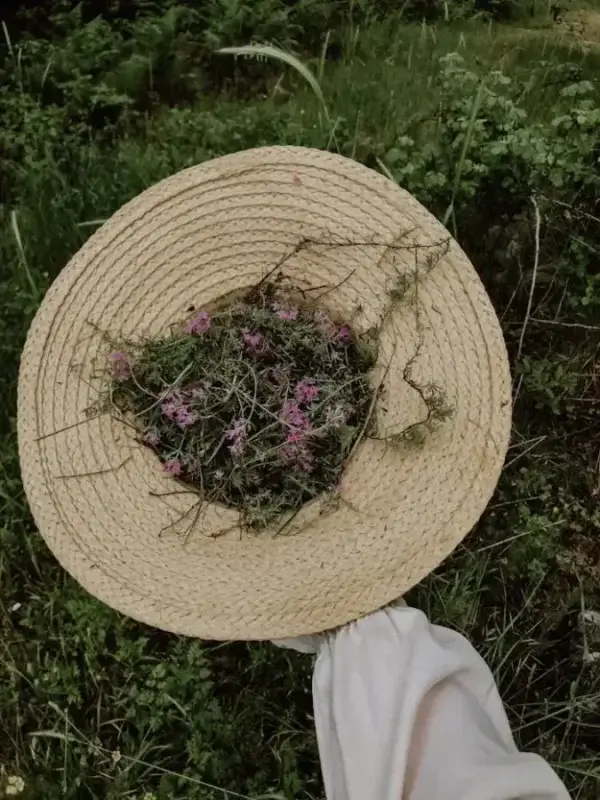 a hand holding a hat full of fresh herbs
