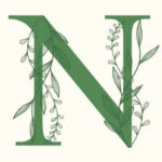 the nature's magic hub logo