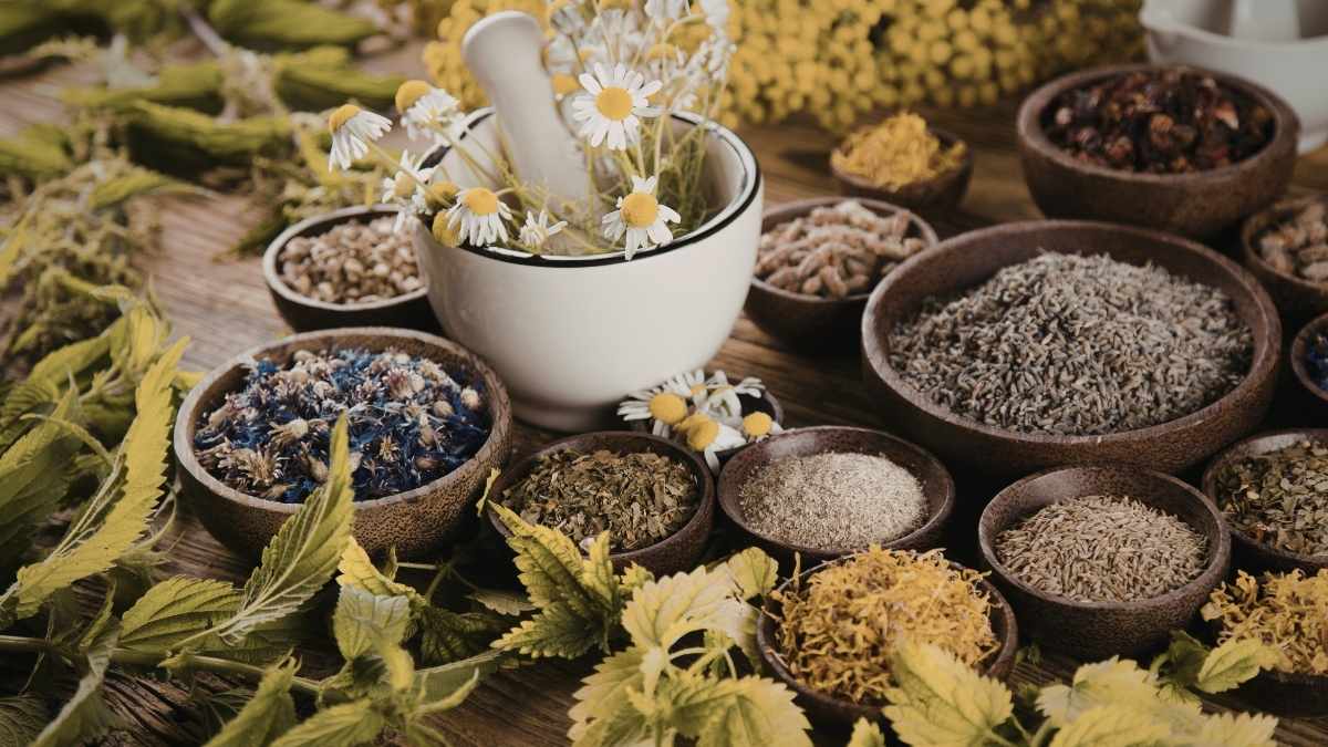 Bowls of dried herbs, flowers and a mortar with fresh chamomile arranged on a wooden table, showing ingredients often used in natural wellness.