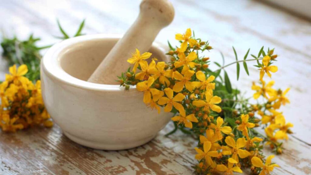 St. John’s Wort flowers and leaves prepared with a mortar and pestle, illustrating traditional herbal preparation methods.