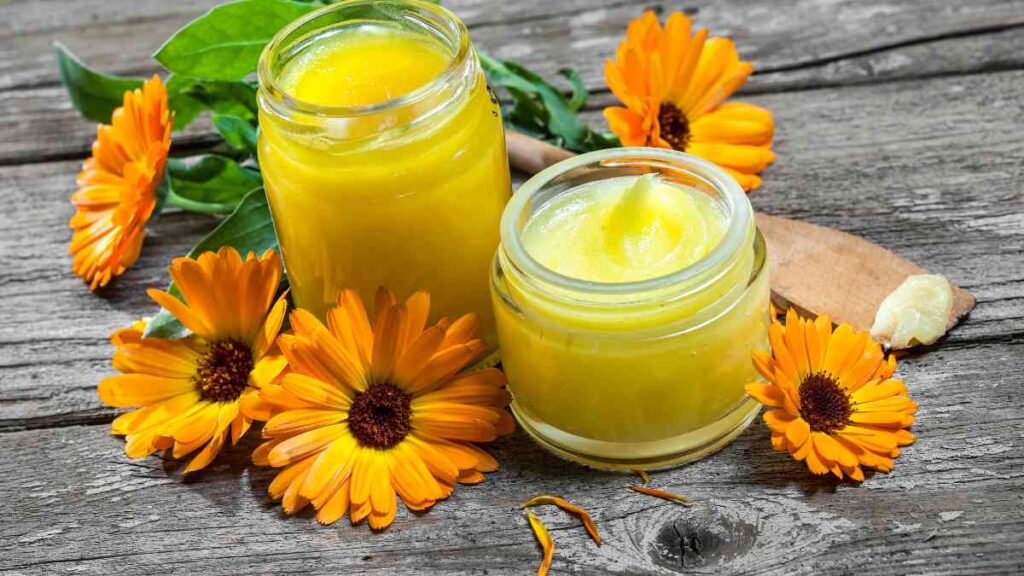 Calendula Officinalis Pot Marigold ointment in glass jars surrounded by fresh calendula flowers on a wooden surface