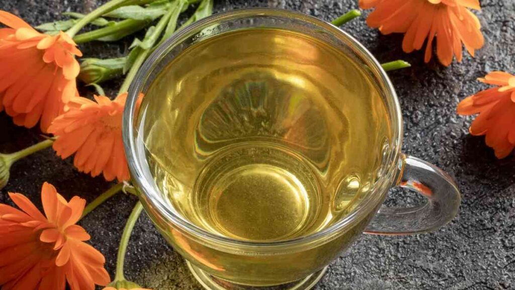 Cup of Calendula Officinalis Pot Marigold tea made from dried flowers, shown with fresh calendula blossoms